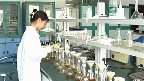 长沙建设中试基地 技术咨询与服务如何为全球研发中心注入核心动能