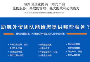 沈阳外资企业注册与财务公司涉外服务全攻略 技术咨询与技术服务的专业支持